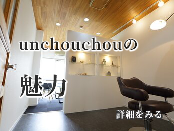 アンシュシュの魅力